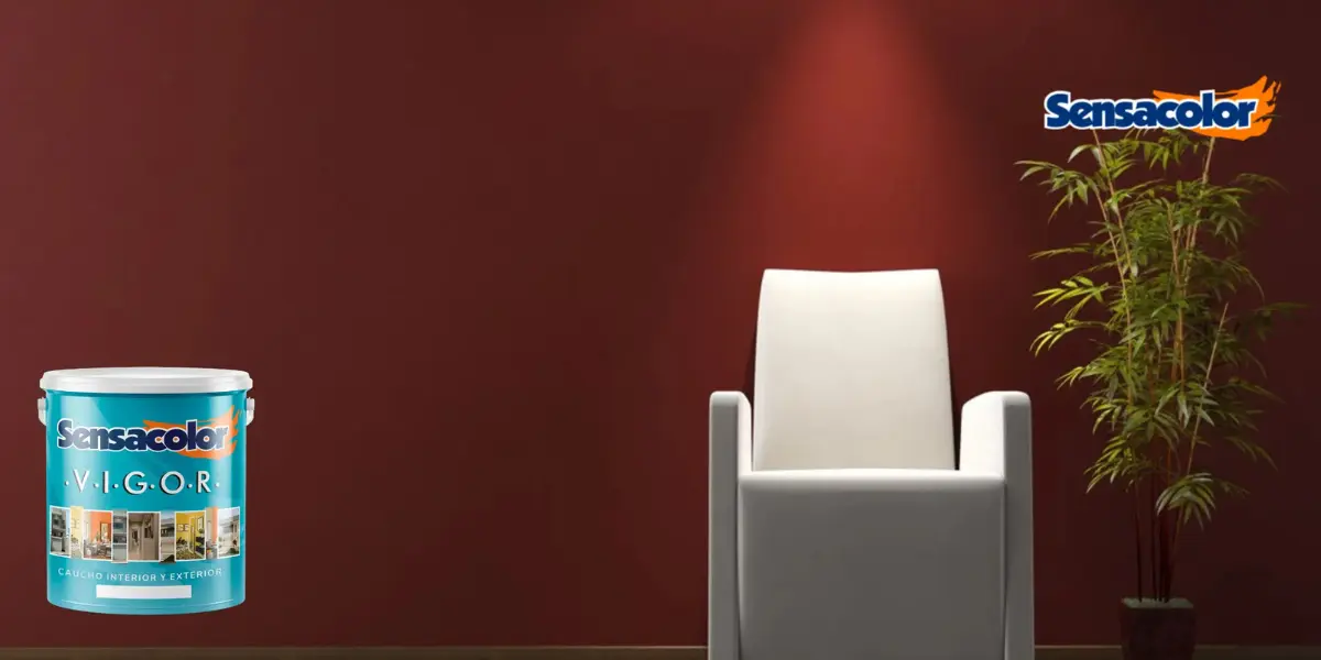 vigor sensacolor